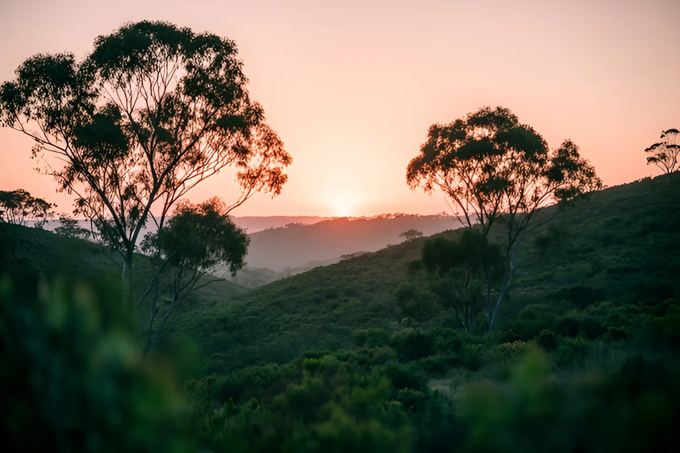 Sunrise over bushland hills